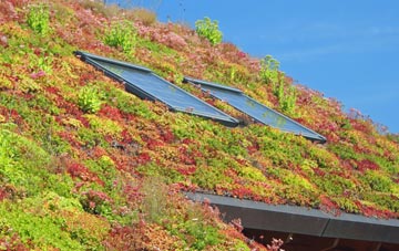 Padside Green living roof systems